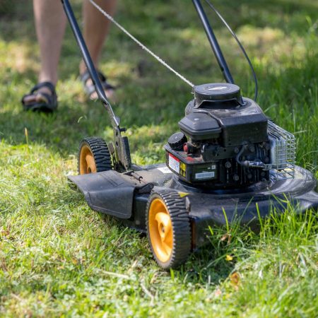 carl-tronders-YhxOrHGrQQc-unsplash