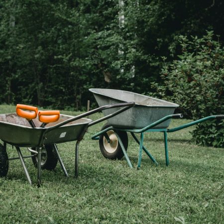 eriks-irmejs-XxkcPI81jnc-unsplash