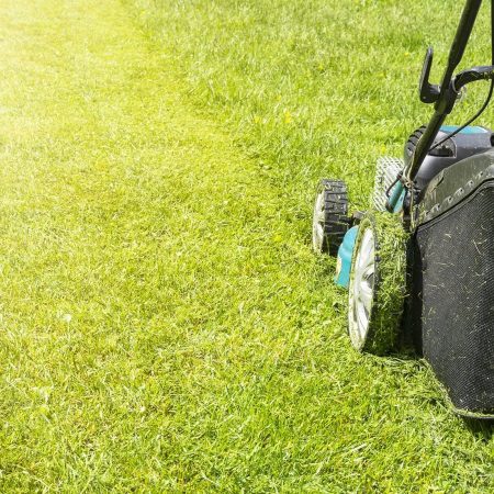 imgi_10_Lawn_mower_on_green_grass-2880w